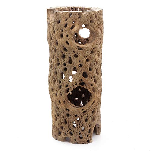 Image of 3 to 48 Inch All Natural Teddy Bear Cholla Wood Extra Hollow Large Untreated Organic Aquarium Driftwood Decoration Chew Toy Shrimp Crab Multi-Quantity (3 Pieces, 6 inch)