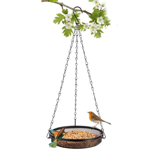 HRAYLTOP Hanging Bird Feeder & Tray&Metal Mesh Platform & Feeder Hanging for Outdoor Garden Yard Perfect for Attracting Bird