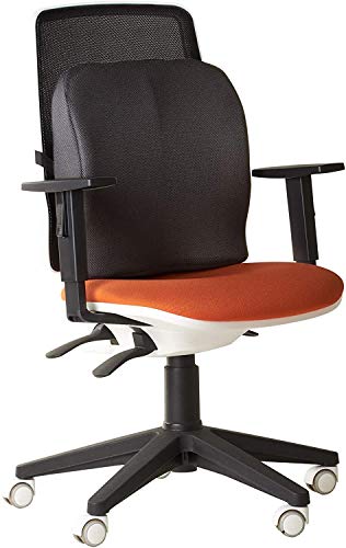 Obliq Memory Foam, Gel Chair Cushion For Back Pain Relief Orthopaedic Lumbar Support Backrest Pillow, Large (40 X 40 X 9 cms), Black, 1 Piece