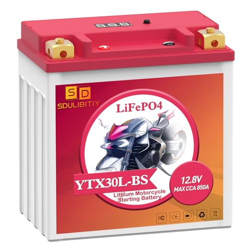 Lithium Motorcycle Battery YTX30L-BS 12.8V 12AH 850 CCA LiFePO4 Motorcycle Battery ATV UTV Jet Ski Scooter Lawn Mower Tractor Generator Riding Lawn Mower Battery