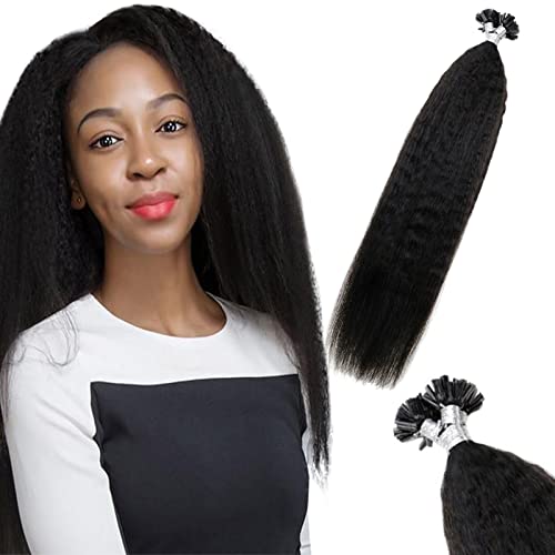 U Tip Hair Extensions Kinky Straight 14 Inch Color 1B Off Black U Tip Extensions Real Human Hair Prebonded Fusion Hair Extensions 40g 50 Strands