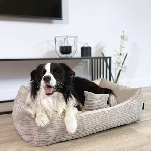 4L Textil Molly Kuscheliges Cord Hundebett Beige mit Bezug Hundekorb mittelgroße Hunde Hundekissen beige Hundekörbchen Hundesofa (Ersatzbezug(80x60 cm, Beige)