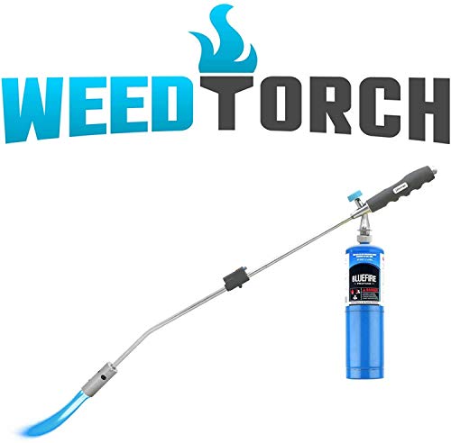JJGeorge-Weed-Torch