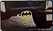 PLASTICOLOR 002209R01 Warner Brothers Warner. Bros Batman Hitch Cover, 1 Pack