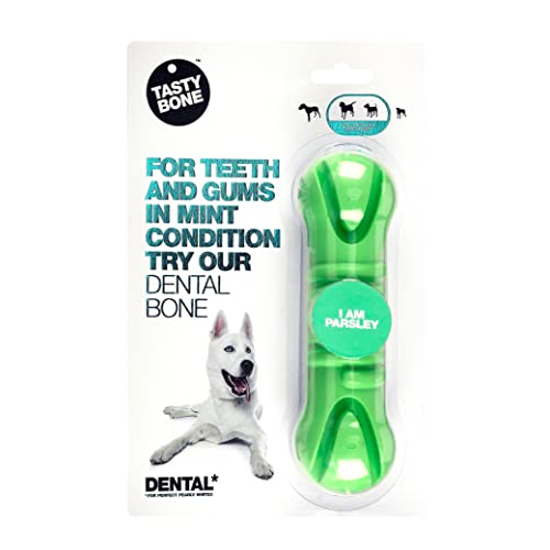 TastyBone TastyBrush Dental Nylon Dog Chew Toy (Parsley), Strong Healthy Teeth & Gums