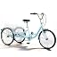 Blue tricycle