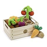 Educational Insights Plush Vegetable Garden 13-Piece Set: Pretend Food, Early-Learning Skills, Ages 2+