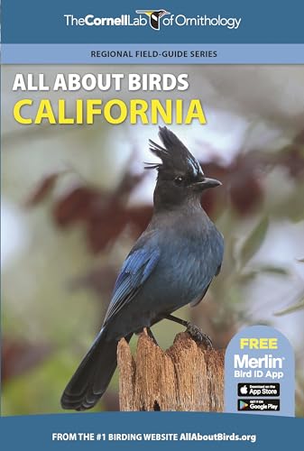 All about Birds California