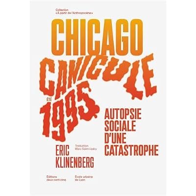 Canicule, Chicago, &eacute;t&eacute; 1995 - autopsie sociale d'une catastrophe