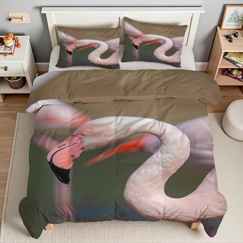 Piumino Matrimoniale Animali Trapunte Cicogna Rossa Piumone Imbottito Resistente Lavabile, Super Morbida Trapunta, piumini 240x260 cm in Microfibra Reversibile e 2 Federa 50x80 cmT2310