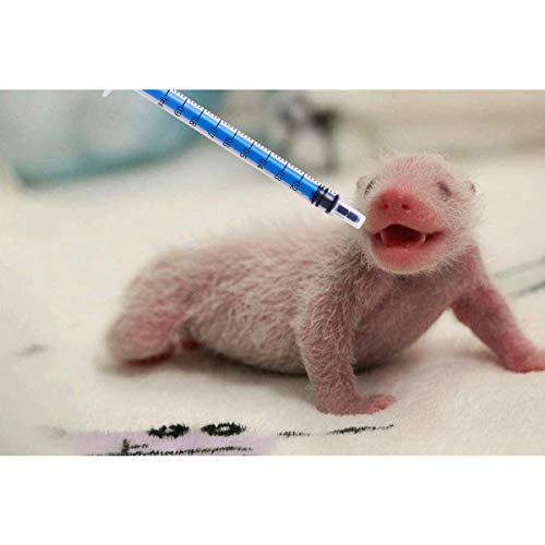 12 Pack - 1Ml Plastic Syringe With Measurement, No Needle Suitable For Refilling And Measuring Liquids, Feeding Pets, Oil Or Glue Applicator… #TOP4