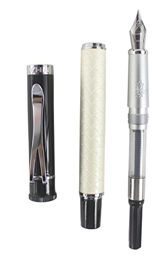 Abcsea Fountain Pen Y3 Fish Scale Pattern Medium Nib With Pen Pouch - Silver #TOP6