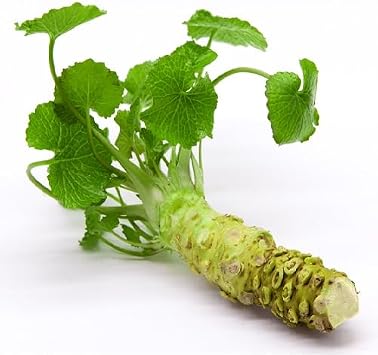 100Pcs Green Wasabi Vegetable Seeds