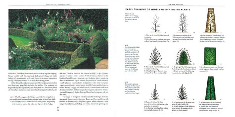 Topiary and the Art of Training Plants