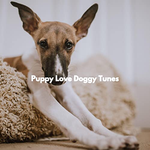 Play Puppy Love Doggy Tunes by Songs for Dogs to Sleep To & Dog