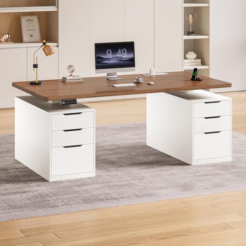 SEDETA Adjustable Stand up Desk with Storage