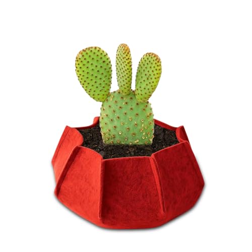 Image of Geo Fabric Grow Bags for Plants 10X3 Inch (Pack of 10) | 400 GSM Heavy Duty UV-Protected Round Maroon Colour Plant Bags for Terrace and Vegetable Gardening | Strong & Reusable|