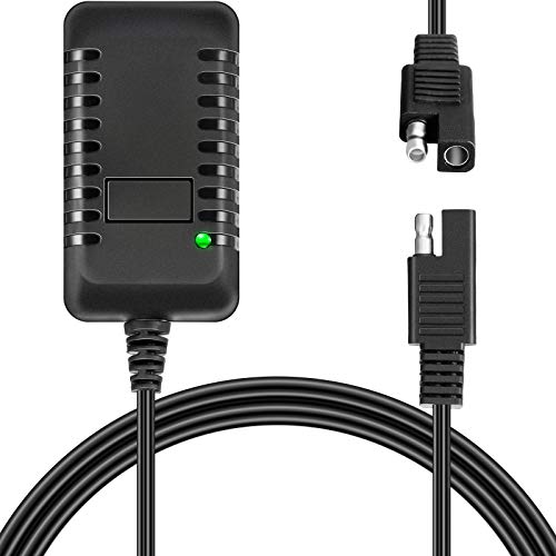 Weewooday 6V Charger for Boys Girls Ride On Car, 6V Battery Charger for Ride on Toys with Charging Indicator Light for SUV Electric Carriage Ride Toy Battery Supply Power Accessories