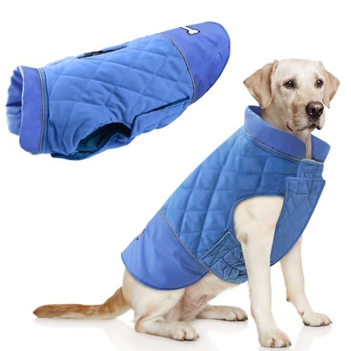 Idepet Cappotto Invernale per Cani Taglia Piccola e Media