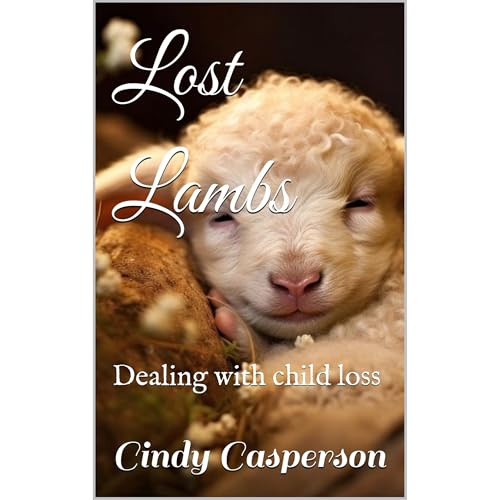 Lost Lambs by Cindy Casperson episode artwork
