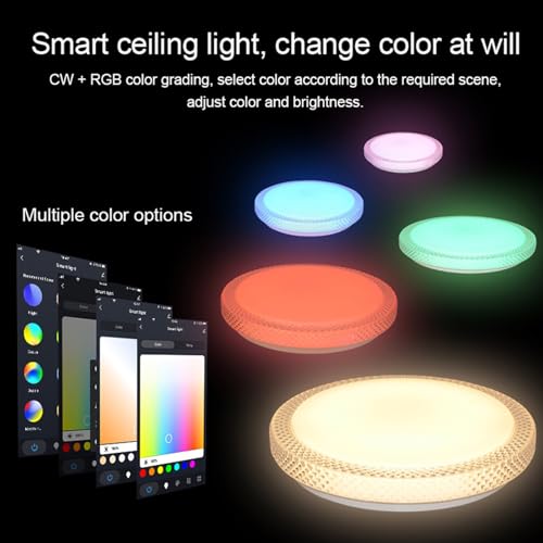 Plafonnier LED Dimmable pour Éviter l'Éblouissement Salon
