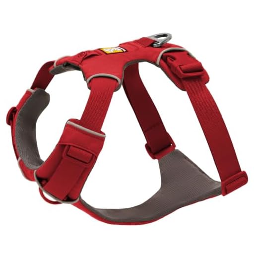 Extra Large, Reflective, Adjustable Comfortable Padded