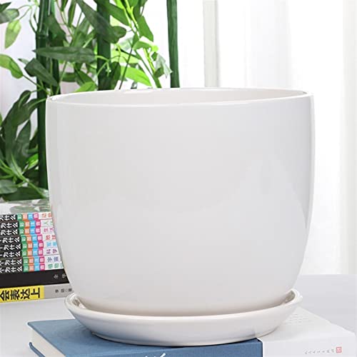 Conteneur planteur en céramique avec soucoupe pour fleur et cactus extérieur
