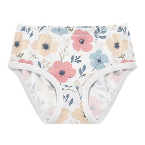 Wusikd Cute Girls' Underwear Cotton Flowers Girls Briefs Soft Toddler Underwear 2T
