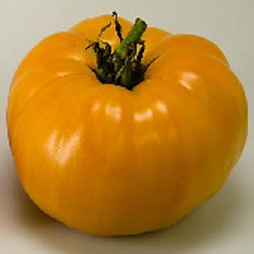 Nebraska Wedding Tomato Seeds (40 Seeds) Seeds for Planting, Farm,