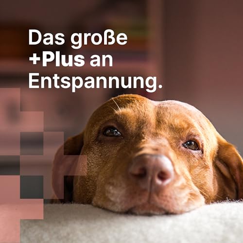 MediBark Relax & Chill – Hundeleckerli mit Baldrian & Passionsblume – Natürliches Beruhigungsmittel für Hunde – Mit Vitamin-B-Komplex – Hunde Leckerlis gegen Stress & Angst – 225 Stück