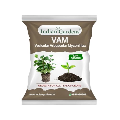 Image of Indian Gardens - VAM (Vesicular Arbuscular Mycorrhiza) Bio fertilizer for All Plants | Root Growth Booster | Organic Plant Food (200 Grams)