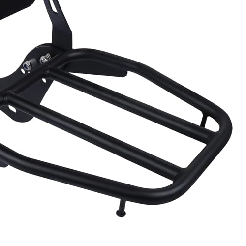 Dossier passager amovible avec porte-bagages Rebel CMX1100 - 4