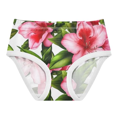 Painted Pink Azalea Flowers Girl Panties Cute Toddler Underwear Floral Cotton Colorful Briefs Kids Undies 2t - Main Image