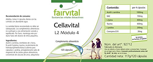 Cellavital - HOOG GEDOSEERD - 120 capsules - antioxidanten complex met acetyl-L-carnitine, taurine, Q10 en meer - Image 6