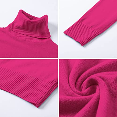 Image of DAIMIDY Turtleneck Sweaters for Women Long Sleeve Pullover Tops | Knitted Material| Soft, Warm and Breathable| High Resilience and Tensile Strength Design| Business Casual Tops| Dailywear