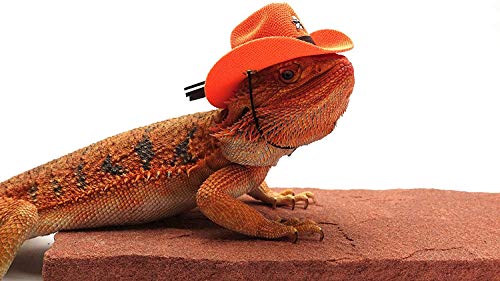 Bearded Dragon Cowboy Hat, Orange
