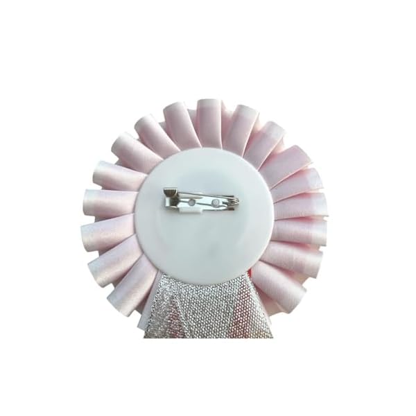 Award Ribbon Badge Brooch RNR office corporate Reward Rosette - Image 4