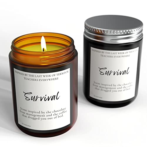 Funny Candle Gift For Teacher, Survival