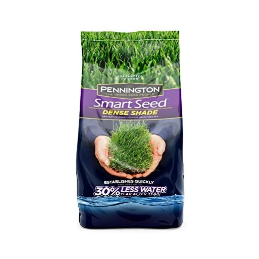 Pennington Smart Seed Dense Shade Grass Seed, 3 lb (100086851)