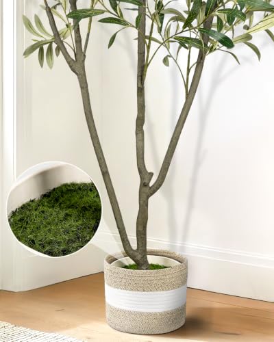 LuceAlberi Artificial Olive Tree 6FT Faux Indoor with Planter and Cotton Basket - image 4