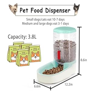 Kathson Automatic Cat Feeder 1 Gallon Gravity Dog Food Dispenser Large Capacity Self Feeding Pet Food Bowl Station for Puppy Kitten Rabbit Green  Cucciolini Doodles Kathson automatic cat feeder 1 gallon gravity dog food dispenser large capacity self feeding pet food bowl station for puppy kitten rabbit green   cucciolini doodles
