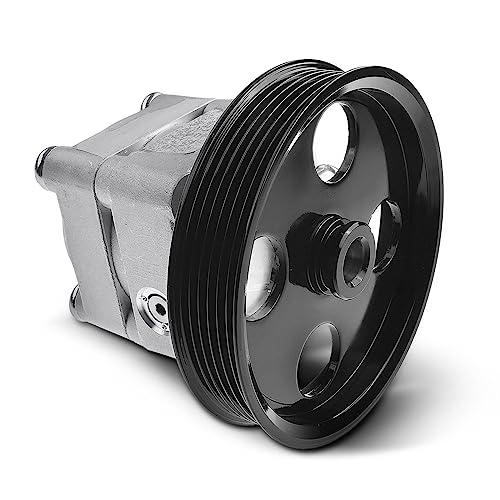 Frankberg Servopumpe hydraulisch Lenkung Kompatibel mit S60 I 2.4L 2005-2010 S80 I TS XY 2.4L 2001-2006 V70 II P80 SW 2.4L 2001-2008 XC90 I 275 2.4L 2005-2014 Replace# 30760531