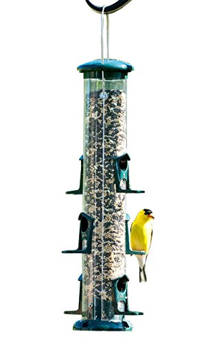 Audubon 15' Seed Tube Bird Feeder – Green Plastic Outdoor Feeder with 6 Feeding Ports & Perches, Holds 0.7 Quarts of Seed – Easy-Hang Top Loop, Ideal for Finches, Chickadees & Small Songbirds