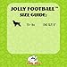 Jolly Pets Football Dog Toy, 8 Inches, Orange