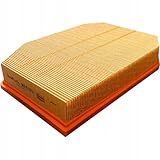 Filtron Air Filter, AP032/6
