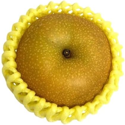 【朝市場直行】千葉県ほか　和梨　1個　約400～450g　x6個セット【冷蔵】