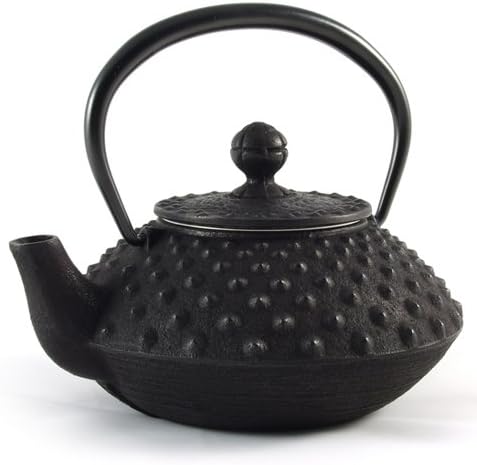 Iwachu Japanese Cast Iron Arare Tetsubin Teapot in Black - 350 ml