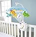 Fisher-Price Precious Planet 2-in-1 Projection Mobile, Multicolor