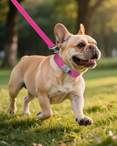 Joytale Halsband Hund, Weich Hundehalsband Gepolstert Neopren Hunde Halsband für Kleine Hunde, Nylon Reflektierend Breit Halsbänder, Leuchtend Rosa