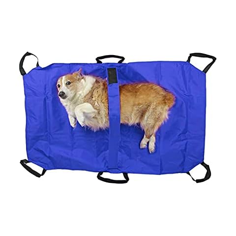 Sac de transport pour chien Panfudongk Cover
